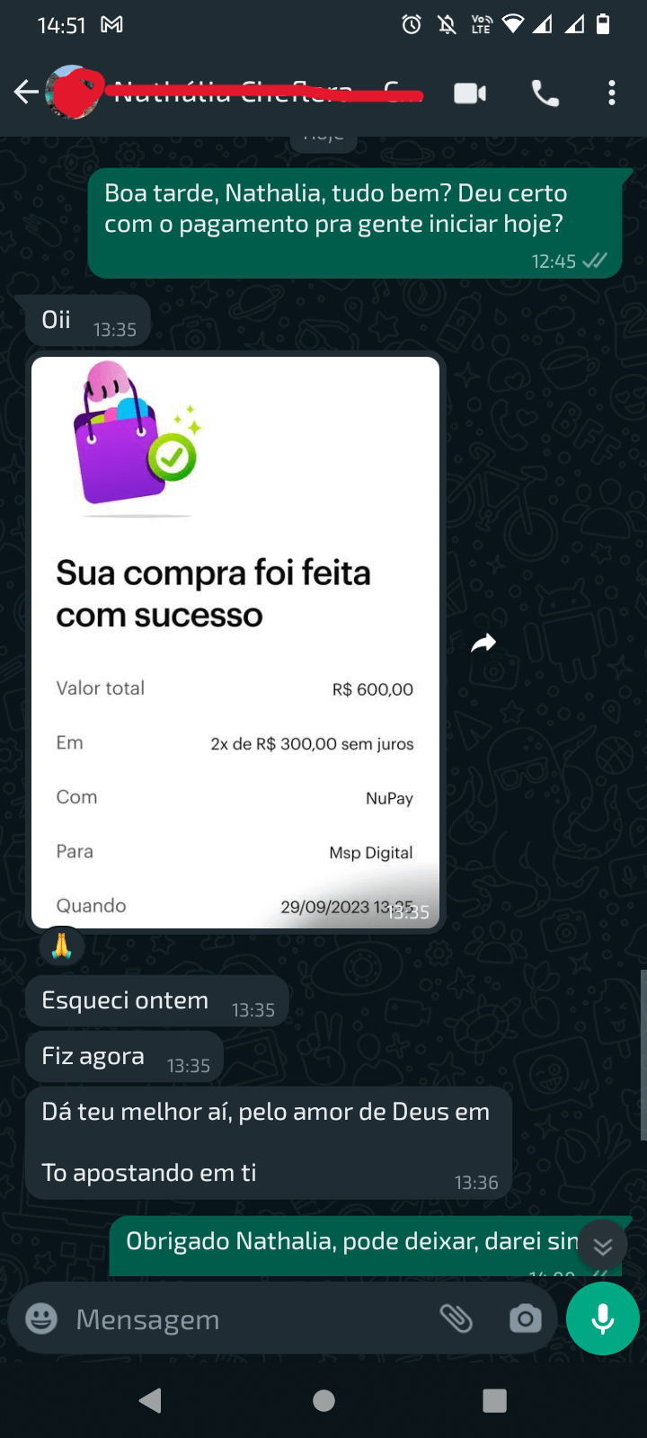 pg cheflera